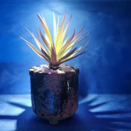 Exclusive Spot Free Parking Otel Ni