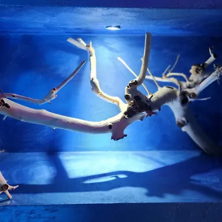 Otel Exclusive Spot Free Parking Ni