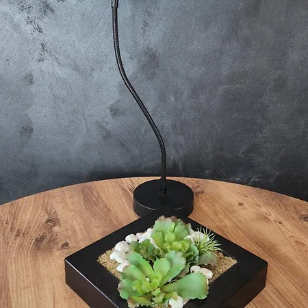 Otel Exclusive Spot Free Parking Ni