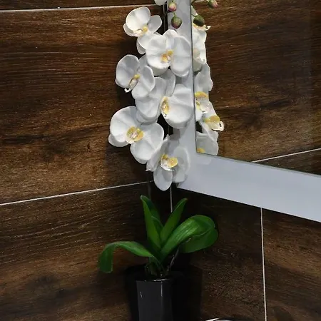 Exclusive Spot Free Parking Ni