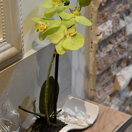 Otel Exclusive Spot Free Parking *