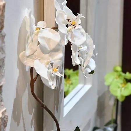 Exclusive Spot Free Parking * Ni