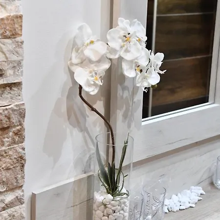 Exclusive Spot Free Parking